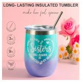 Sister Birthday Gifts from Sisters - Funny Unique Tumbler Gift Box Christmas Stocking Stuffers Xmas Holiday Gift for Soul Litter Big Ever Sister Sis Best Friend BFF from Brother