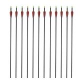 GPP Carbon 30-Inch Arrows with Field Points Replaceable Tips (12 Pack) with 6 Free Nocks for Recuve Bow & Compound Bow