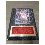 1996-97 Chicago Bulls Championship Scottie Pippen Card Display