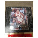 1996-97 Chicago Bulls Championship Scottie Pippen Card Display