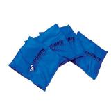 Triumph Classic Canvas Cornhole Bag Set - Includes Four 16oz Duck Cloth Cornhole Bags and Storage Container