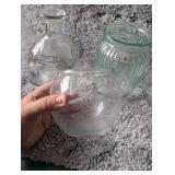 Rounded Glass Vase Collection