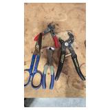 Professional Mechanic