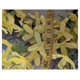 Spring Forsythia Grapevine Wreath - 20 in