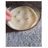 32 oz Glass Candle Berry Leaf & Lemon Candle
