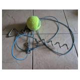 Dog Tennis Ball and Wire Cable Tie Out