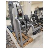 Cybex Eagle Leg Extension Machine