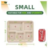 WELLIFE 100percent Compostable 5 Compartment Paper Plates, 125 Pack Small Heavy Duty Disposable School Lunch Trays, 10.25 * 8.25 Inch Eco-Friendly Bagasse Plates for Boys, Girls and Youth (BPA Free) -