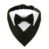 ADOGGYGO Formal Dog Tuxedo, Wedding Dog Collar with Bow Tie, Adjustable Pet Wedding Collar Bandana for Small Medium Large Dogs (Small, Black) - Retail: $13