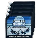 Cooler Shock Reusable Ice Packs for Cooler, 10\"x10\" - Long Lasting Cold Freezer Packs for Coolers and Lunch Boxes - Cooler Ice Packs for Camping Gear, Fishing, Road Trips, Beach Must Haves