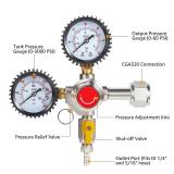 Co2 Regulator for Kegerator - CGA320 Draft Beer Regulator, Dual Gauge Brewing Keg Regulator, Kegerator Parts, Kegerator Accessories, Co2 Pressure Regulator with 2 Hose Clamps