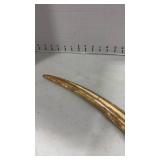 Polished animal tusk