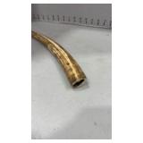 Polished animal tusk