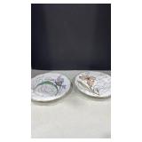 Haviland Limoges flower Collector Plates Set