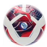 PUMA Christian Pulisic CP10 Performance Soccer Ball - Retail: $0
