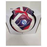 PUMA Christian Pulisic CP10 Performance Soccer Ball - Retail: $0