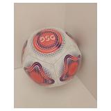 DSG Soccer Ball - Retail: $0