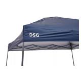 DSG 12