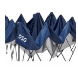 DSG 12
