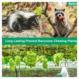 36 Pack Peppermint Skunk Repellent, Natural Raccoon Repellent Keep Skunks Out from Outdoor Yard Attic Garden House, Long-Lasting Protection, Safe for Dogs and Children