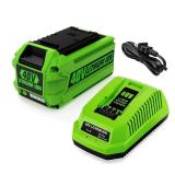 Energup 40V Lithium Ion Battery and Charger