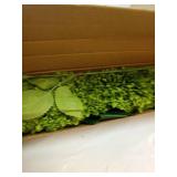 Hananona 12 Pcs Artificial Chrysanthemums Flowers Ball Flower, Fake Mums Flowers Green Silk Flowers for Home Decor Indoor Floral Arrangement St Patricks Day Table Centerpiece (12, Green) - Retail: $14