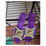 Princess Jasmine Costume Set with Decorated Shoes