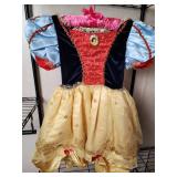 Disney Princess Snow White Costume with Matching Shoes (S?)