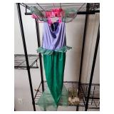 Disney Princess Mermaid Ariel Costume with Matching Shoes (S)?