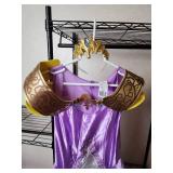 Legend of Zelda Princess Cosplay Dress (J 7-9)