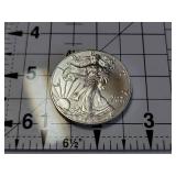 2019 American Silver Eagle 1 Troy Oz Fine Silver Dollar