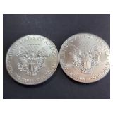 Lot of 2 2019 American Silver Eagle Dollar Coins 1 Troy Oz Each