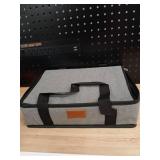 Tendered Divided Chilled Snack container With Carrying Case - Retail: $30