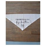 Big Brother Announcement Dog Bandana - Retail: $12