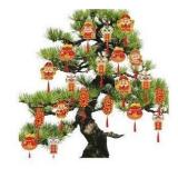 Peywot Chinese New Year Decorations