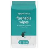 Amazon Basics Flushable Wipes 8 pack