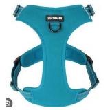 Petking Adjustable Dog Harness - Teal Large