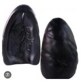 Decorative Black Lung Bookends