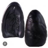 Anatomical Lung Bookends