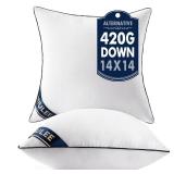 MIULEE 14x14 Pillow Inserts Set of 2 Throw Pillows 14 Inch Premium Down Alternative Pillow Inserts Decorative Pillow Stuffer for Sofa, Couch (14x14 inch, Set of 2)