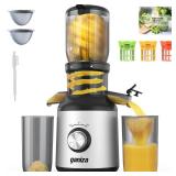 Ganiza Juicer Machines, Slow Masticating Juicers with Large Feed Chute for Whole Fruits & Vegetables, Cold Press Juicer with 3 Replace Filters for Batch Juicing, Easy to Clean, BPA Free(Silver)