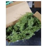 6 Pcs Christmas Pine Placemats 20 Inch Artificial Greenery Placemats Round Cedar Branch Place Mat Dining Table Mats for Xmas Party Decorations Holiday