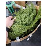 6 Pcs Christmas Pine Placemats 20 Inch Artificial Greenery Placemats Round Cedar Branch Place Mat Dining Table Mats for Xmas Party Decorations Holiday