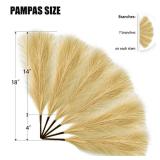 Tender Epoch 6 PCS Faux Pampas Grass Arrangement - 18/45cm Artificial Fluffy Pompous Grass Stems for Boho Chic Home and Wedding Decor (Khaki)