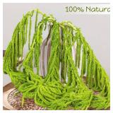 7Pcs Green Dried Amaranthus Hanging Flowers - 100% Natural Dye Neon Green 23 Real Amaranthus , Preserved Dried Flowers for Wedding Arch Decor, Exhibition, Floral Arrangement