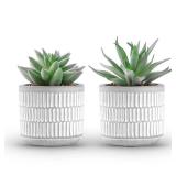 Der Rose Set of 2 Succulents Plants Artificial Fake Cactus Plants for Living Room Bathroom Bedroom Aesthetic Home Shelf Decor