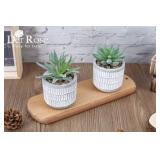 Der Rose Set of 2 Succulents Plants Artificial Fake Cactus Plants for Living Room Bathroom Bedroom Aesthetic Home Shelf Decor