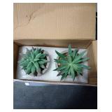 Der Rose Set of 2 Succulents Plants Artificial Fake Cactus Plants for Living Room Bathroom Bedroom Aesthetic Home Shelf Decor