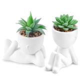 Der Rose 2 Pack Fake Plants Succulents Plants Artificial for Living Room Home Bathroom Office Decor