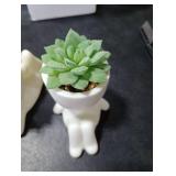 Der Rose 2 Pack Fake Plants Succulents Plants Artificial for Living Room Home Bathroom Office Decor